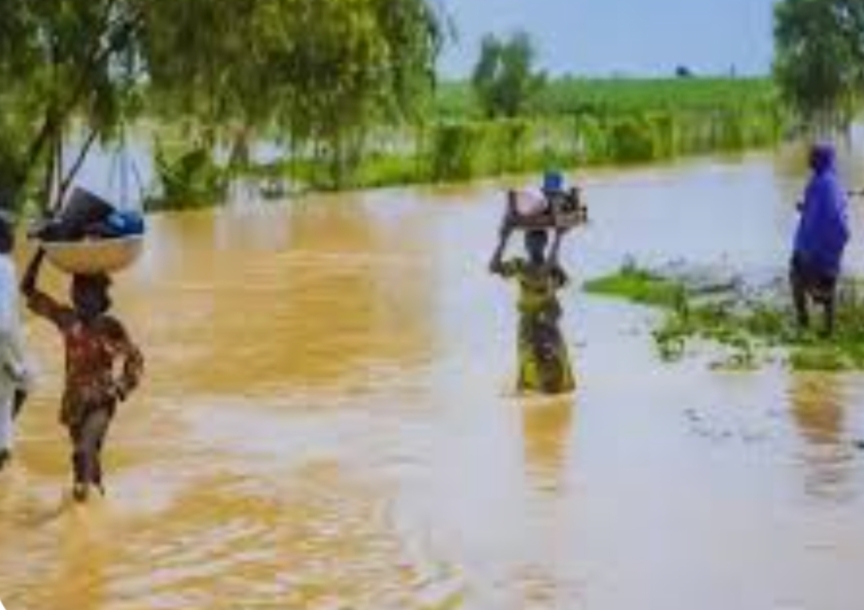 Flood Kills 29, Destroys 321,000 Houses, 858,000 Hectares Of Farmlands In Kebbi 1727474697243