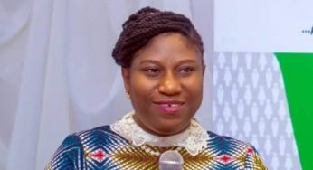 WSCIJ hosts investigative journalism, AI conference Executive Director and CEO of WSCIJ Motunrayo Alaka