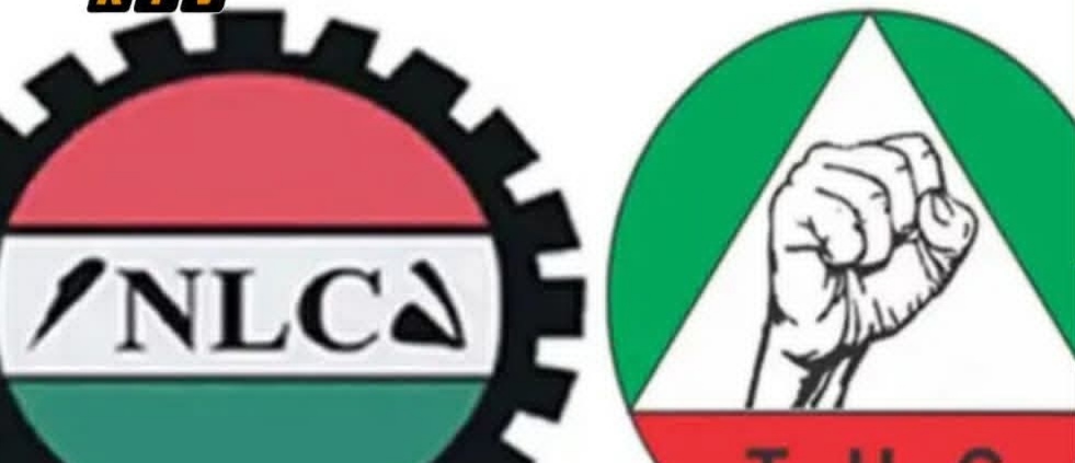 TUC DA NLC ZASUYI JERIN GWANO A BIRNIN TARAYYA ABUJA DOMIN NUNA GOYAN BAYA GA MA, AIKATAN ABUJA SABODA RASHIN ALBASHI Screenshot 20260202 163036